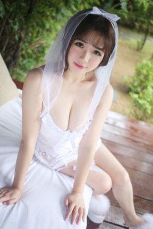 菜鸟总动员