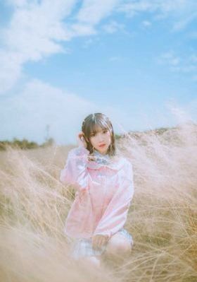 美丽的世界